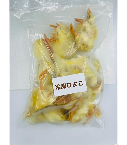 Amazon | 【クール便発送】国産冷凍ひよこ(雛) 30羽入り 猛禽類